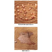 日本マテリエイド ウッドエイド カラーA チーク 16KG WACA16CH 1個（直送品）