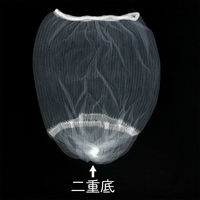 水切りネット ストッキングタイプ 排水口・三角コーナー兼用 二重底タイプ 1箱（100枚入）今村紙工