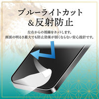 MSソリューションズ iPhone 17 Pro ガラスフィルム 反射防止・ブルーライトカット GG-IP25GFMB 1個（直送品）