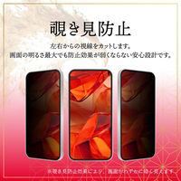 MSソリューションズ iPhone 17/iPhone 16 Pro ガラスフィルム覗き見防止180° GG-IM25GFN 1個（直送品）