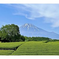 お茶の丸幸 静岡産インスタント緑茶 1袋(50g)