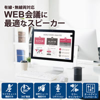 会議用 スピーカーフォン 有線 Bluetooth対応 Web会議用 4～6人 ブラック LBT-SP02M2BK エレコム 1個（直送品）