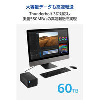LaCie 2big Dock v2 60TB STLG60000400 エレコム 1個（直送品）