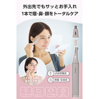 フェイスシェーバー 眉・鼻・顔これ1本 うぶ毛 電動 USB Type-C充電 グレージュ TT321A-C テスコム 1個（直送品）