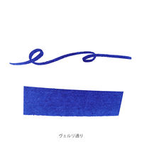 万年筆用インク エルバン（HERBIN） Parisカラーズカートリッジ インク （EU規格:ショートタイプ） 6本入 ヴェルリ通り 1個（直送品）