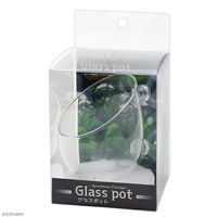 JUN グラスポット アクアリウム 水草 105073 1個（直送品）