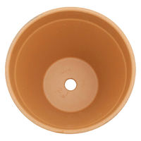 Deroma S.P.A. 多肉植物 デローマ スタンダードポット 21cm 108475 1個（直送品）