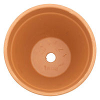 Deroma S.P.A. 多肉植物 デローマ スタンダードポット 17cm 108476 1個（直送品）