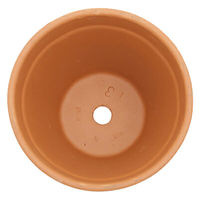 Deroma S.P.A. 多肉植物 デローマ スタンダードポット 13cm 108477 1個（直送品）