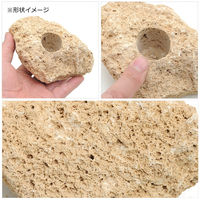 カミハタ 吸水石 中 約10~13cm 穴サイズ 約3cm 224717 1個（直送品）