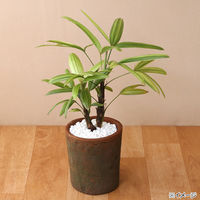 リーフ 鉢 アンティークポット 直径13×14.5cm 赤 226029 1個（直送品）