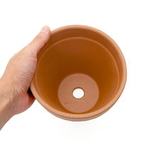 Deroma S.P.A. 多肉植物 デローマ スタンダードポット 15cm 264566 1個（直送品）