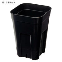 日本ポリ鉢販売 スリット鉢 プレステラ 90深型 黒 10個セット 267235 1個（直送品）
