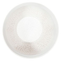 bachi 多肉植物 Gyropot 二丈(にじょう) 白 3号鉢 297487 1個（直送品）