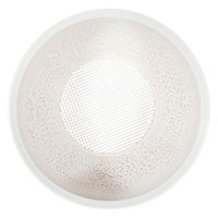 bachi 多肉植物 Gyropot 二丈(にじょう) 白 4号鉢 297489 1個（直送品）