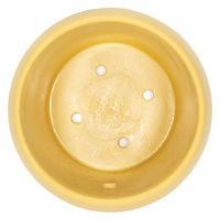 三浦園芸 鉢 キュート ビビ スモーキーの鉢 マスタードイエロー 298068 1個（直送品）