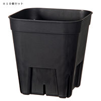 日本ポリ鉢販売 スリット鉢 プレステラ 75型 黒 10個セット 303820 1個（直送品）