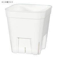 日本ポリ鉢販売 スリット鉢 プレステラ 75型 白 10個セット 303822 1個（直送品）