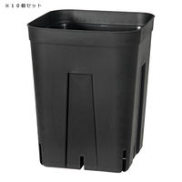日本ポリ鉢販売 プレステラ 150深型 黒 10個セット 306339 1個（直送品）