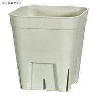日本ポリ鉢販売 プレミアムプレステラ 75型 グリーン 10個セット 314841 1個（直送品）