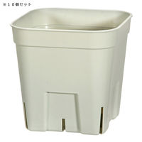 日本ポリ鉢販売 プレミアムプレステラ 90型 グリーン 10個セット 314849 1個（直送品）