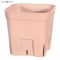 日本ポリ鉢販売 プレミアムプレステラ 90型 ピンク 10個セット 314903 1個（直送品）