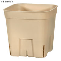 日本ポリ鉢販売 プレミアムプレステラ 90型 ブラウン 10個セット 314905 1個（直送品）