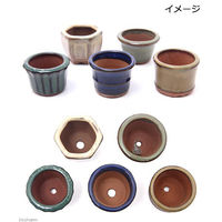 生体発送温度 神田直接 盆栽鉢 形状お任せ 山野草豆鉢 山野草 植木鉢 ミニミニ盆栽鉢 432884 1セット(3個)（直送品）