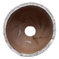 リーフ 鉢 信楽焼 COM WORK STUDIO作 CLLBー8G 930603 1個（直送品）