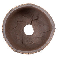 リーフ 鉢 信楽焼 COM WORK STUDIO作 CLBー8 930621 1個（直送品）