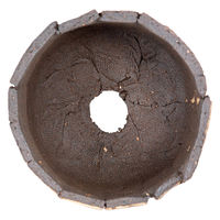 リーフ 鉢 信楽焼 COM WORK STUDIO作 CLBー9 930622 1個（直送品）