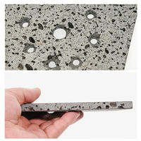 リーフ 観葉植物着生用プレート 溶岩石 小 930840 1個（直送品）