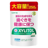 ガム キシリトール オーラテクトガム クリアミント 大容量パウチ 250g 1セット（1個×3）