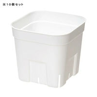 日本ポリ鉢販売 スリット鉢 プレステラ 105型 白 10個セット 270191 1個（直送品）
