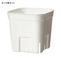 日本ポリ鉢販売 スリット鉢 プレステラ 90型 白 10個セット 272685 1個（直送品）