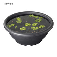 スドー メダカ鉢 黒茶 15号+メダカ鉢の保護ネット 丸型(中) 305525 1個（直送品）