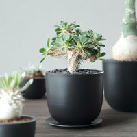 ventes PlasticPlate 100 4595057072200 1枚（直送品）