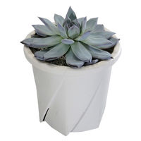 大和プラスチック 根はりポット 12型 4903266731717 1個（直送品）