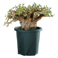 大和プラスチック 根はりポット 12型 4903266731731 1個（直送品）