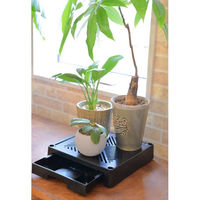 第一ビニール どこでもブラックベース 24cm 4968438027272 1個（直送品）