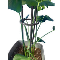 第一ビニール リングサポート リング径10cmx高さ40cm 4968438027319 1個（直送品）