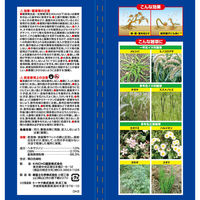 KINCHO園芸 草退治E粒剤 1.5kg 4975292605119 1箱（直送品）