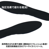 ヤマショウ 足裏健康インソール YIN-013 1双（直送品）