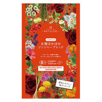 nagomi-NATULURE  有機ぽかぽかジンジャーブレンド 1セット(12バッグ入×3)