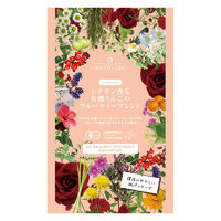 nagomi-NATULURE  シナモン香る有機りんごのフルーティーブレンド 1セット(12バッグ入×3)