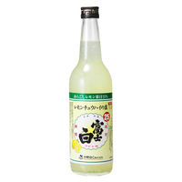 富士白 レモンチュウハイの素 25度 600ml 瓶 1セット（3本） 中野BC リキュール チューハイの素