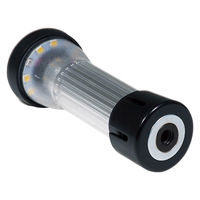 大進 充電式LEDマルチライト HAC4555 1台（直送品）