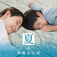 ディーエーピーネットワーク 冷却ジェルマット S ひんやりマット くすみカラー ベージュ monowa050_BE-S 1個（直送品）