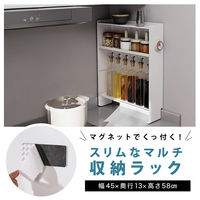 ディーエーピーネットワーク 調味料ラック マグネット スリム3段 可動棚付き monowa064 1個（直送品）