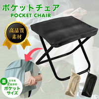ディーエーピーネットワーク 折りたたみチェア 軽量 携帯アウトドア椅子 ブラック monowa099-bk 1個（直送品）